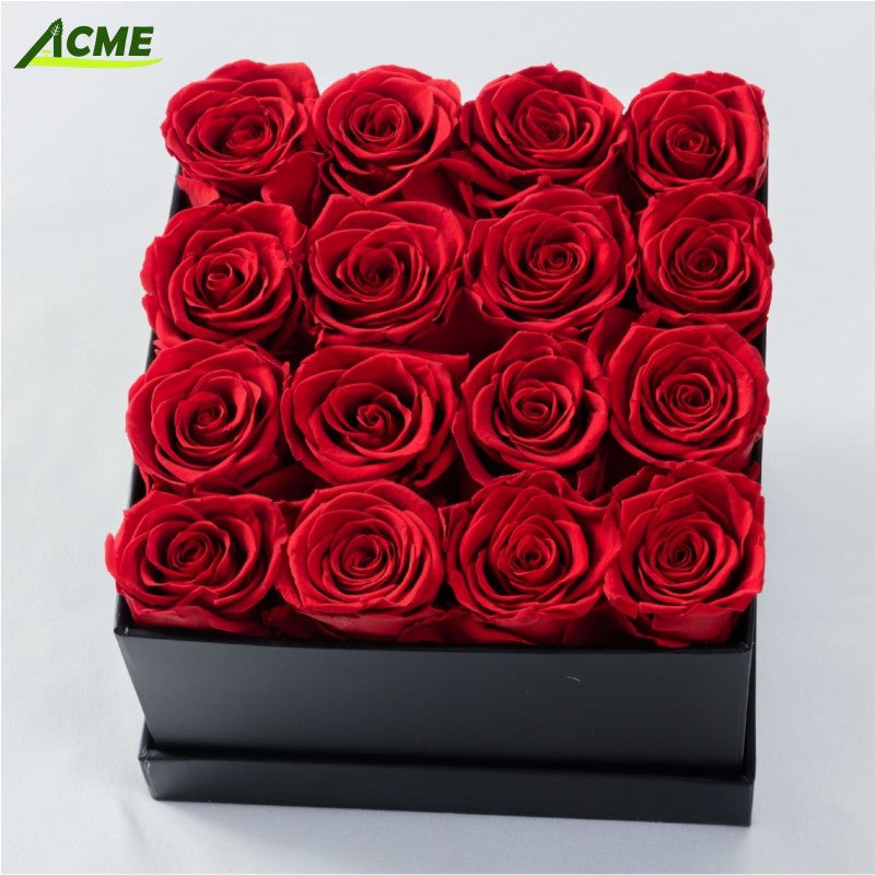 Preserved Rose Glass Box